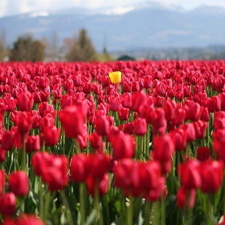 Red Tulip Hotel アンヘレス エクステリア 写真
